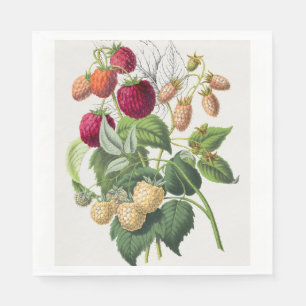 Vintage Strawberry Napkin