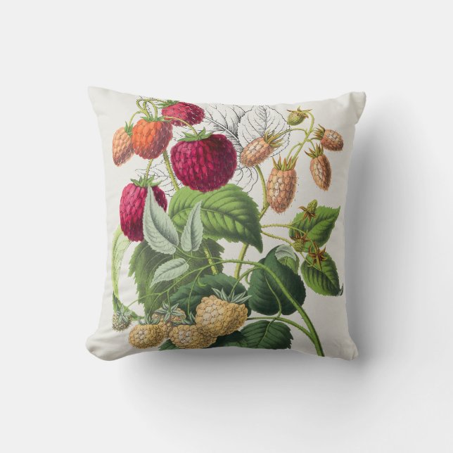 Vintage Strawberry  Throw Pillow (Front)