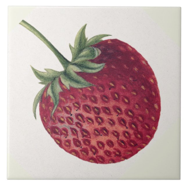 Vintage Strawberry Tile (Front)