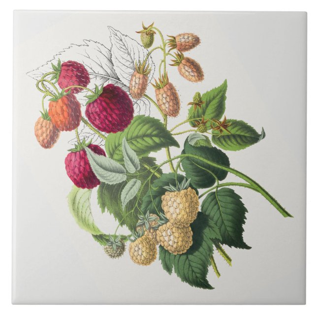 Vintage strawberry tile (Front)