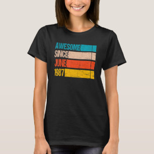 Vintage Stripe Colour Awesome Since June 1987 Birt T-Shirt