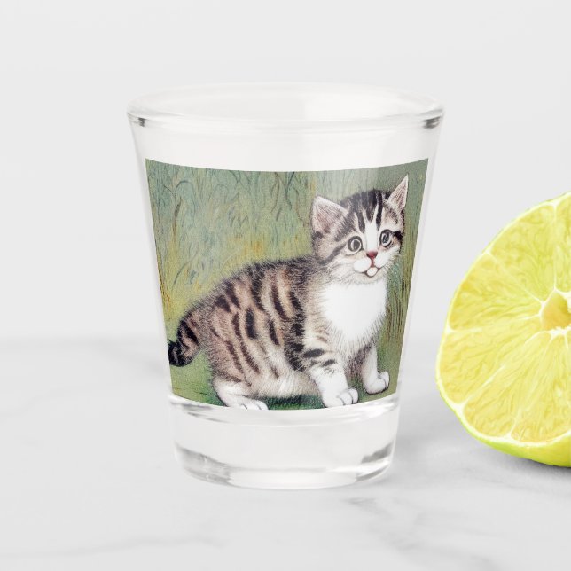 Vintage Striped Kitten Illustration Shot Glass (Front)