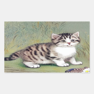 Vintage Striped Kitten Illustration Sticker