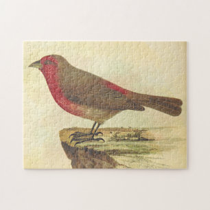 Vintage Style, Bird Standing on a Ledge Jigsaw Puzzle