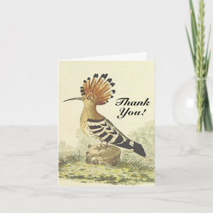 Vintage Style, Bird, "Thank You!" Card