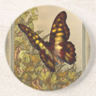 Vintage Style Butterfly Illustration Coaster