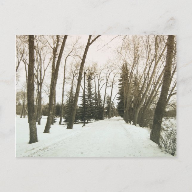 Vintage style card - trees in winter (Front)