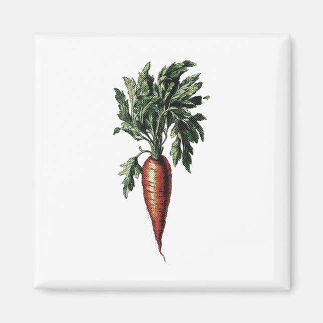 Vintage Style Carrot Image  Magnet (Front)