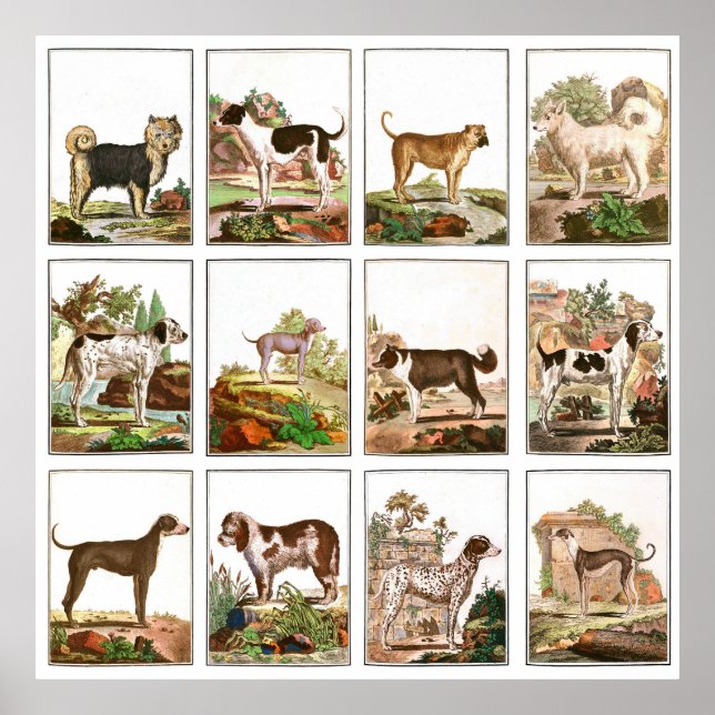 Vintage Style Dog Collage Poster (Front)
