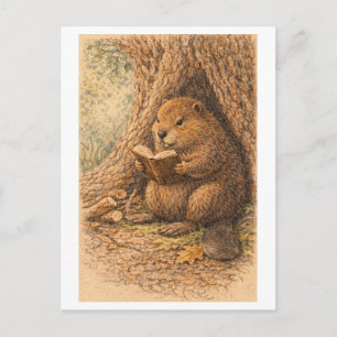 Vintage-Style Drawing of Beaver Reading in Tree Postcard