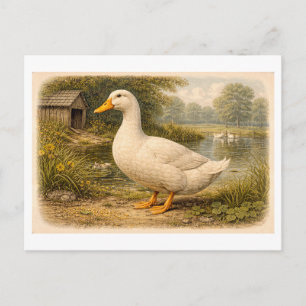 Vintage-Style Duck Illustration Postcard