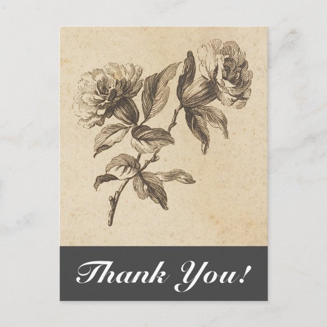 Vintage Style Flowers + "Thank You!" Postcard (Front)