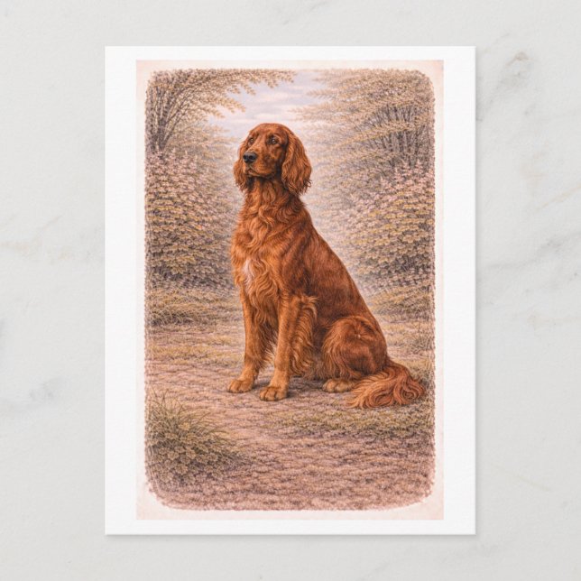 Vintage-Style Irish Setter Postcard (Front)