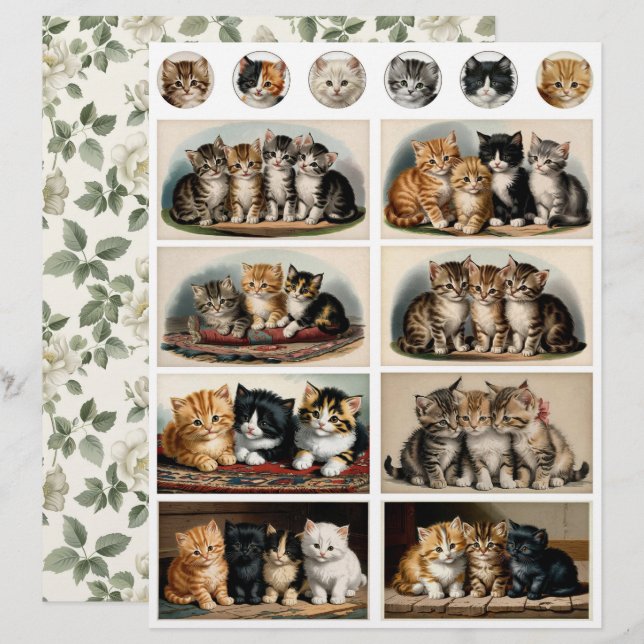 Vintage Style Kittens Ephemera Fussy Cuts (Front/Back)