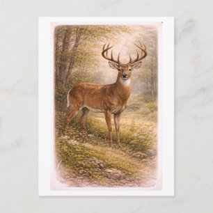 Vintage-Style Male Deer Illustration Postcard