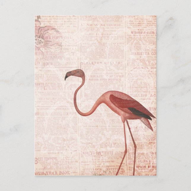 Vintage Style Pink Flamingo Postcard (Front)