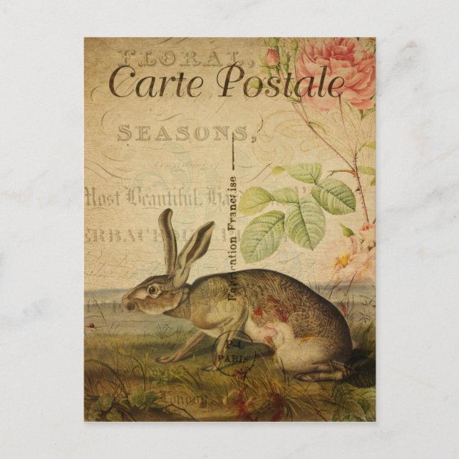 Vintage Style Rabbit French Carte Postale Postcard (Front)