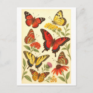 Vintage-Style Red & Yellow Butterfly Illustration Postcard