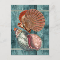 Vintage Style Seashells
