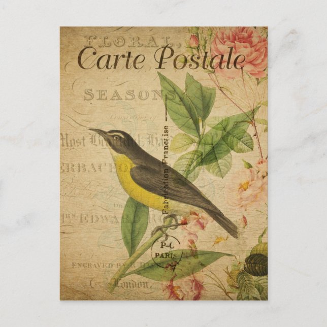 Vintage Style Yellow Bird French Carte Postale Postcard (Front)