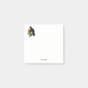 Vintage Stylized Falcons on Branch Post-it Notes