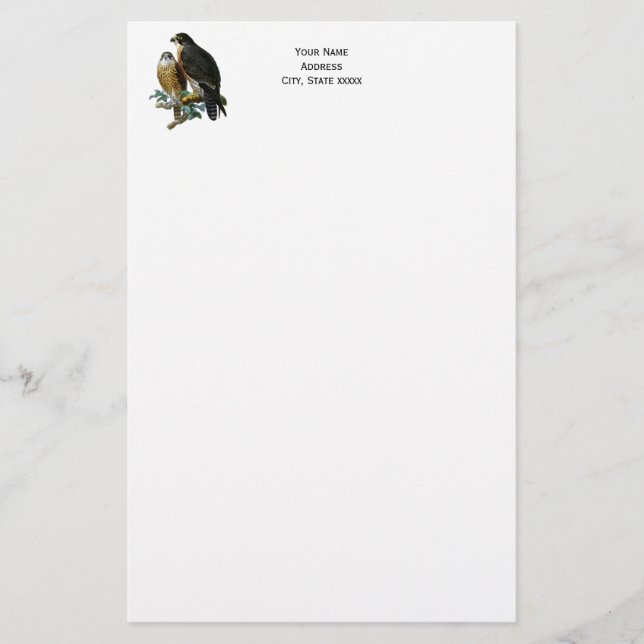 Vintage Stylized Falcons on Branch Stationery (Front)