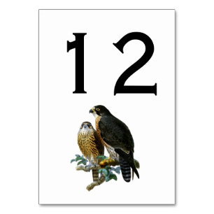 Vintage Stylized Falcons on Branch Table Number