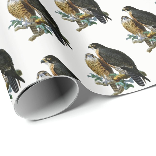 Vintage Stylized Falcons on Branch Wrapping Paper (Roll Corner)
