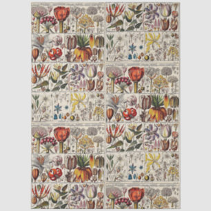 Vintage Stylized Flowers Botanical Book Plate #24 Tissue Paper