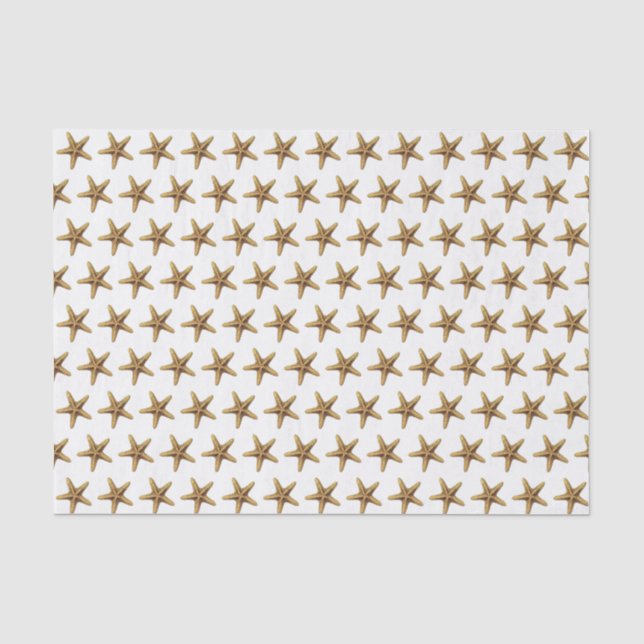 Vintage Stylized Starfish Drawing #3 Tissue Paper (Front)