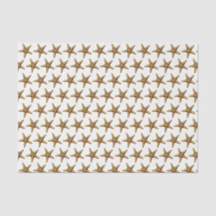 Vintage Stylized Starfish Drawing Tissue Paper
