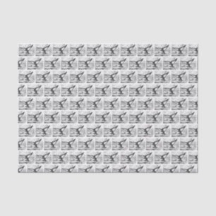 Vintage Stylized Whale Tail Drawing Black Tissue Paper