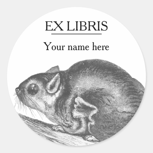 Vintage sugar glider illustration bookplate classic round sticker (Front)