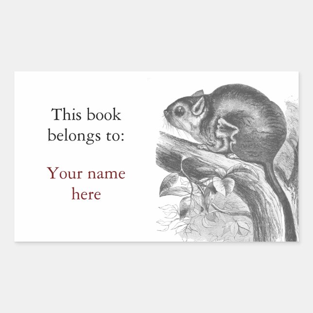Vintage sugar glider illustration bookplate sticker (Front)