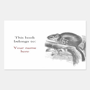 Vintage sugar glider illustration bookplate sticker