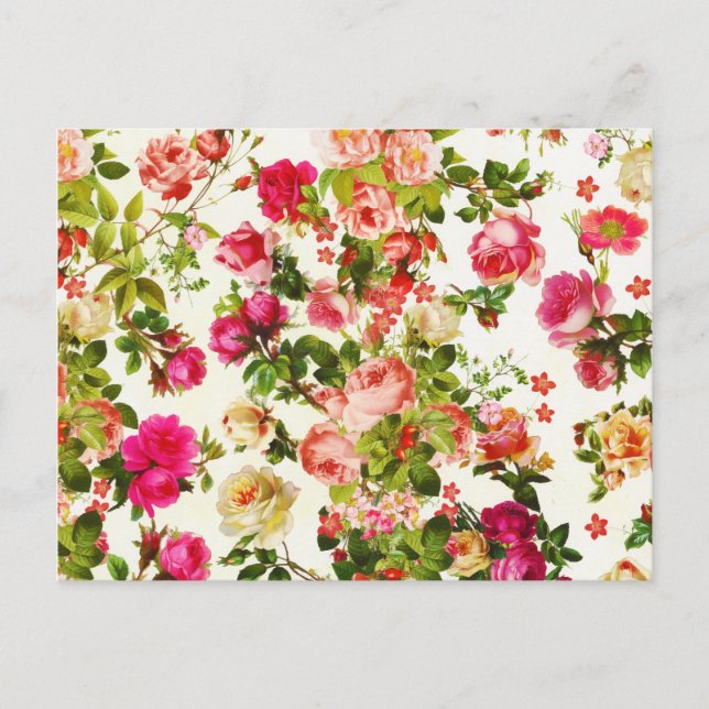 Vintage Summer Pink Rose Peonies Flowers Postcard (Front)