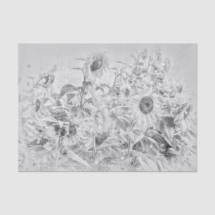 Vintage Sunflower Field Black And White Distressed Tissue Paper