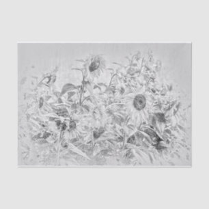 Vintage Sunflower Field Black And White Distressed Tissue Paper