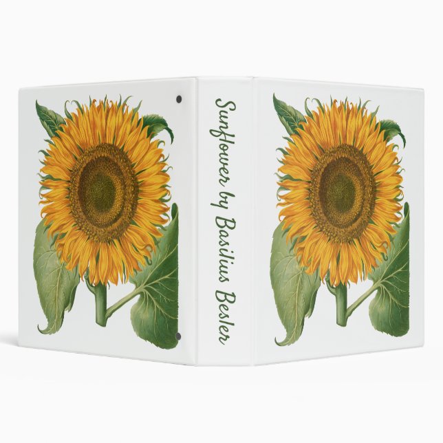 Vintage Sunflower Flower by Basilius Besler Binder (Background)