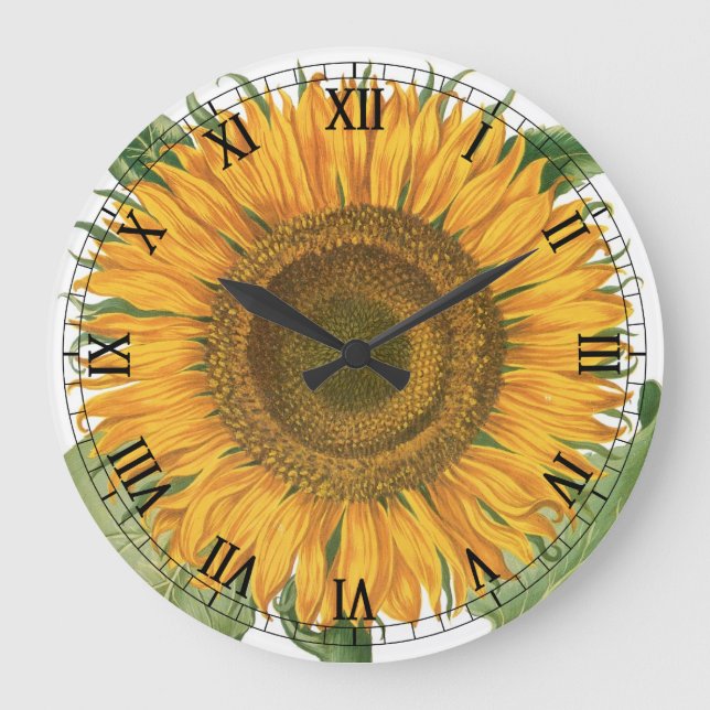 Vintage Sunflower Flower by Basilius Besler Large Clock (Front)
