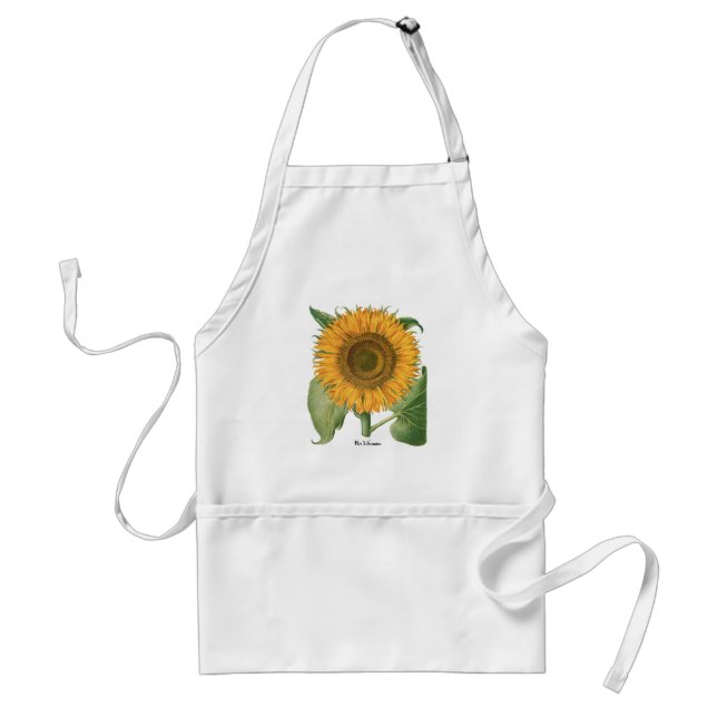 Vintage Sunflower Flower by Basilius Besler Standard Apron (Front)