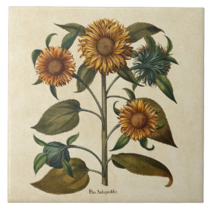 Vintage Sunflower Flower Print Tile