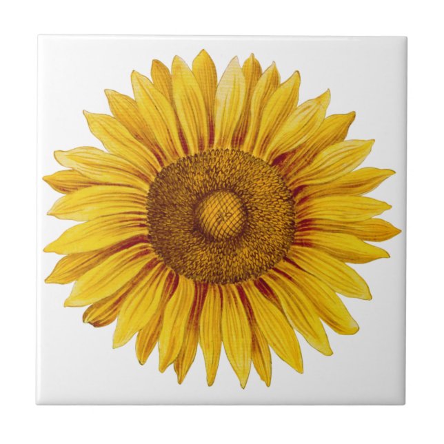 Vintage Sunflower Happy Flower Tile (Front)