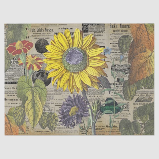 Vintage Sunflower Horticulture Ads Ephemera  Tissue Paper (Front)