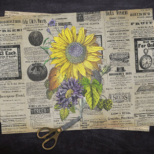 Vintage Sunflower Horticulture Ads Ephemera  Tissue Paper