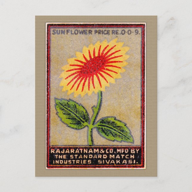 Vintage Sunflower Match Label Postcard (Front)