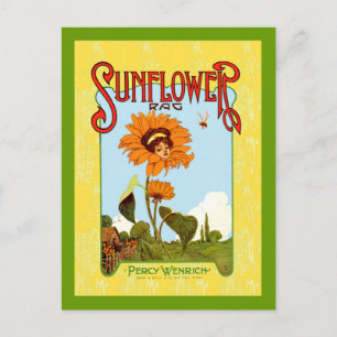 Vintage Sunflower Music Postcard