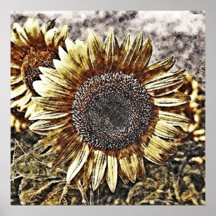 Vintage Sunflower painting artwork #4 - Posters