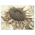 Vintage Sunflower Sepia Tone Old Style Decoupage