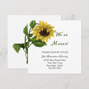 Vintage Sunflower We've Moving   New Address Card